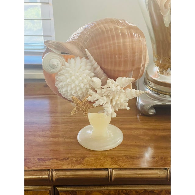 1900s Sea Shell Assemblage on Onyx Italian Tazza For Sale - Image 4 of 10