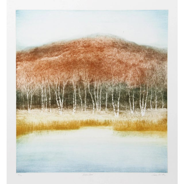 Rustic Harvey Kidder, Birch Grove, Aquatint Etching For Sale - Image 3 of 3