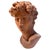 Antique Terracotta Bust of Michelangelos David by Manetti, Italy, 1910 For Sale - Image 11 of 11