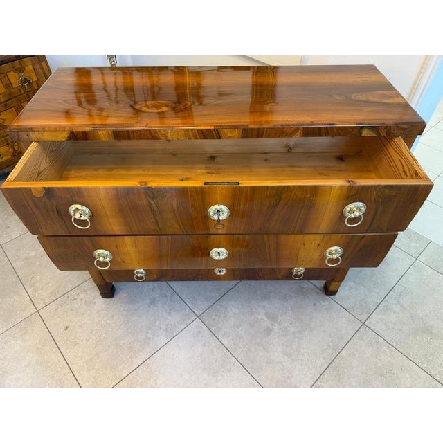 Brown Antique Biedermeier Chest of Drawers in Walnut For Sale - Image 8 of 14