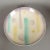 Art Deco Ceramic Bowl with Spray Decor from Karlsruher Majolila For Sale - Image 8 of 8