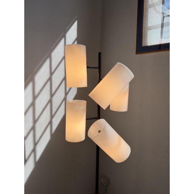 Black Floor Lamp by Bruno Gatta for Stilnovo, 1960s For Sale - Image 8 of 10