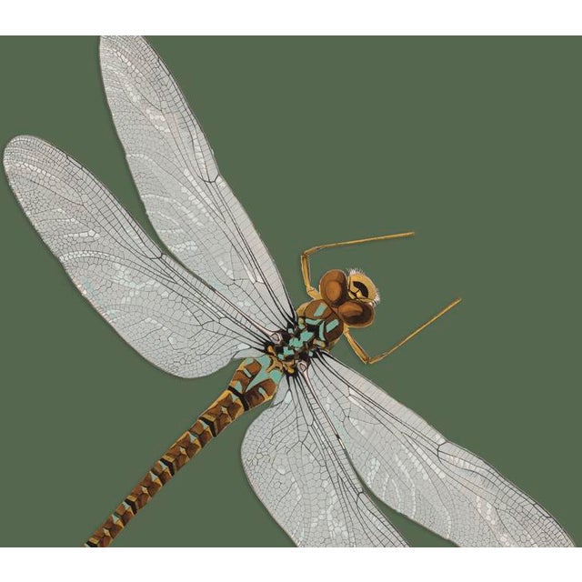 The series was produced by CFA editions from original pochior prints by E.A. Seguy. The series of insects that Seguy...