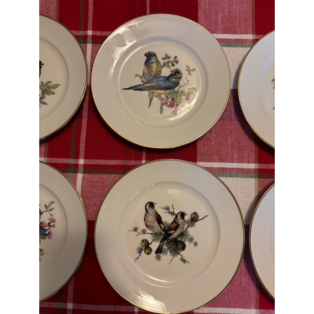 English Mid Century Jkw Western Germany Porcelain Song Bird Plates, Set of 6 For Sale - Image 3 of 12