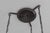 Vintage Grappolo LS10 Pendant Light by Luigi Caccia Dominioni for Azucena, 1965 For Sale - Image 9 of 17