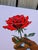 Realism A Rose for Trying, 1, by Emmanuel Akolo, (2026), Acrylic on Canvas For Sale - Image 3 of 9