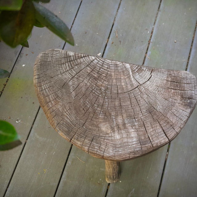 Brutalist Tripod Stools in Grayed Pine, France, 1950s, Set of 2 For Sale - Image 17 of 18
