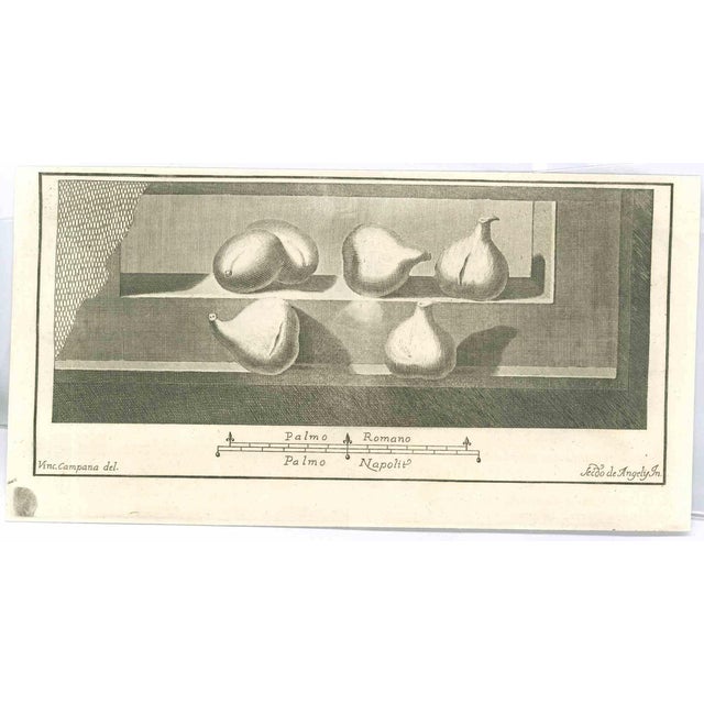 Vincenzo Campana, Pompeian Fresco, Etching, 18th Century For Sale