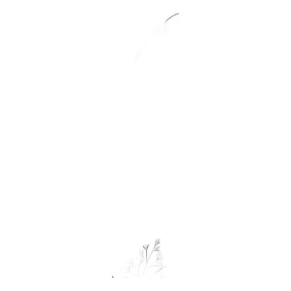 Sample - Schumacher Calm Skies Wallcovering In Neutral For Sale