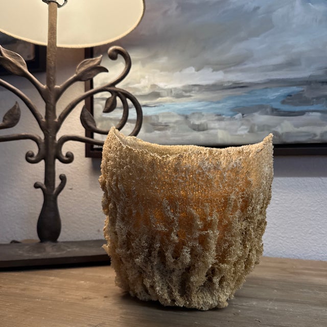 2010s Large Natural Sea Basket Sponge Vase Very Large. For Sale - Image 5 of 5