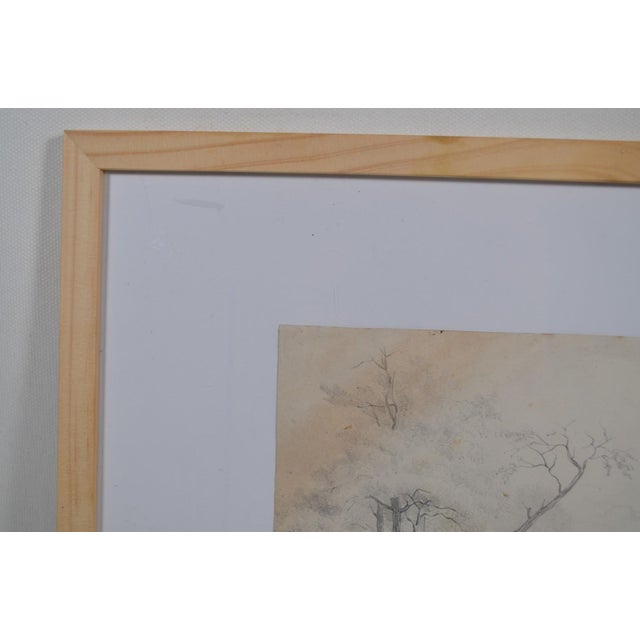 1920s French School of the 20th Century. Pencil Drawing “tree Landscape” For Sale - Image 5 of 10