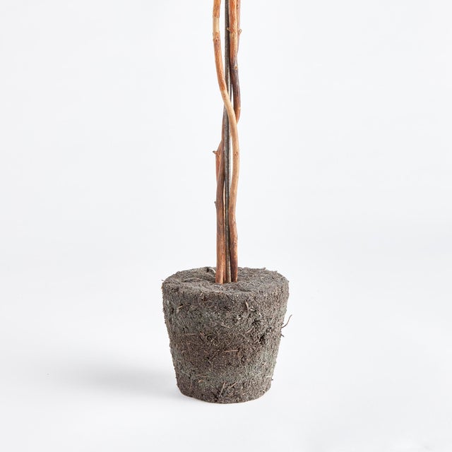 English Boxwood Single Sphere Topiary Drop-In 24" For Sale - Image 3 of 4