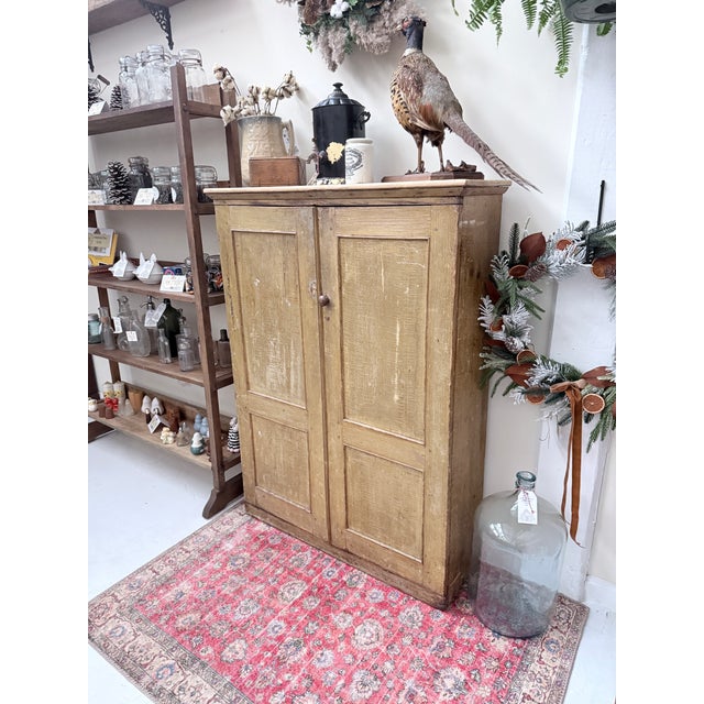 Antique Grain Painted Jelly Cupboard For Sale - Image 4 of 10