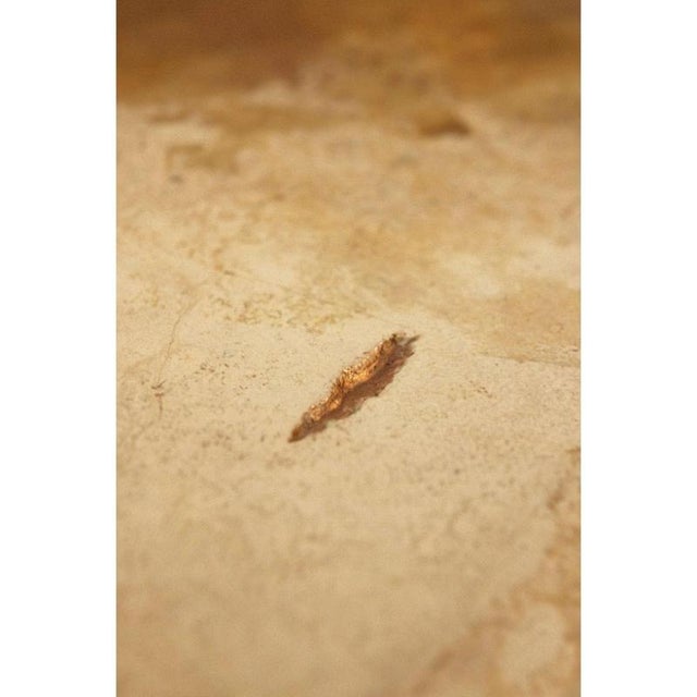 Brown Aurisino One of a Kind Coffee Table in Bronze with Marble and Resin by Alex Turco For Sale - Image 8 of 11