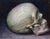 Bedside Skull by Matteo Di Ventra | Oil on linen board Still life of a human skull. For Sale