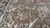 Copper Antique Mahal Carpet For Sale - Image 8 of 14