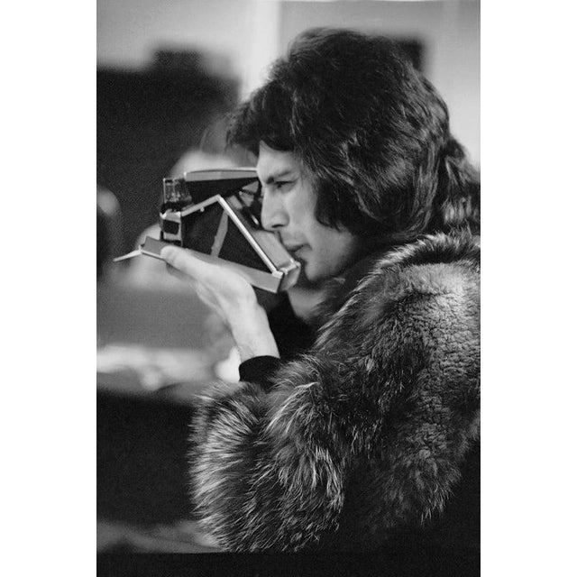Freddie In Furs Singer Freddie Mercury (1946 - 1991) of British rock band Queen takes a Polaroid, Los Angeles, US, circa...