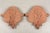 1900 - 1909 French Terra Cotta Roof Ornaments - a Pair For Sale - Image 5 of 5