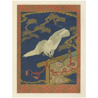 White Hawk on Pine, 1880s, Lithograph For Sale