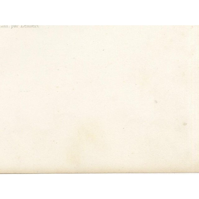 Emilie, Durham Shorthorn Cow of Corbon, 1873, Paper For Sale - Image 9 of 12
