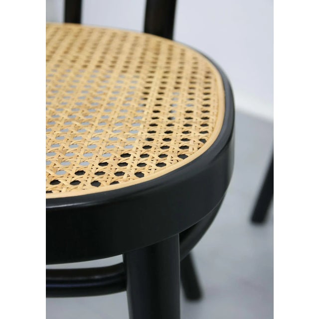 Bentwood No. 218 Chairs, Set of 2 For Sale - Image 13 of 18