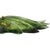 Gold Floral Murano Glass Wall Sconces in Green, 2000, Set of 2 For Sale - Image 8 of 14