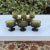 Mid-Century Green and Amber Franciscan Glassware- Set of 8 For Sale - Image 10 of 11