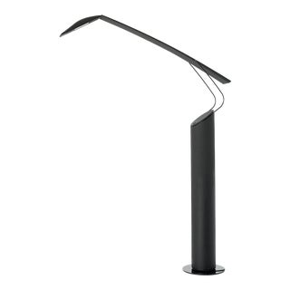 "Dove" Floor Lamp by Barbaglia & Colombo For Sale