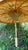 Japanese Rice Paper Paper Parasol For Sale - Image 9 of 9