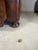 19thC Louis Philippe Flame Mahogany Commode With Gray Marble Top and Bun Feet For Sale In Houston - Image 6 of 9