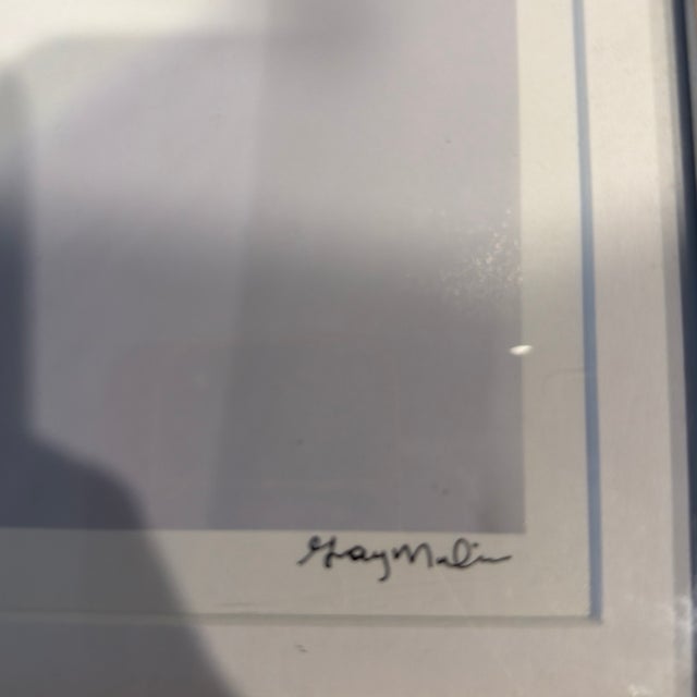 Gray Malin Picnic Party II Photograph For Sale - Image 10 of 12