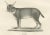 Mid 19th Century C.C. G. Zool., The Caracal and Lynx in Profile, 1836, Lithograph For Sale - Image 5 of 11