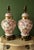 Traditional Schumann Arzberg Bavaria Briar Rose Porcelain Table Lamps For Sale - Image 3 of 13