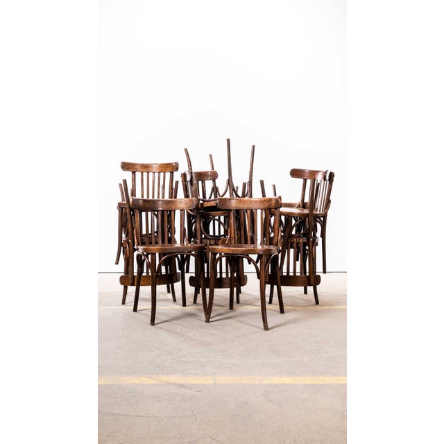 Brown Vintage Bistro Dining Chairs in Dark Oak Bentwood, 1950s, Set of 6 For Sale - Image 8 of 10