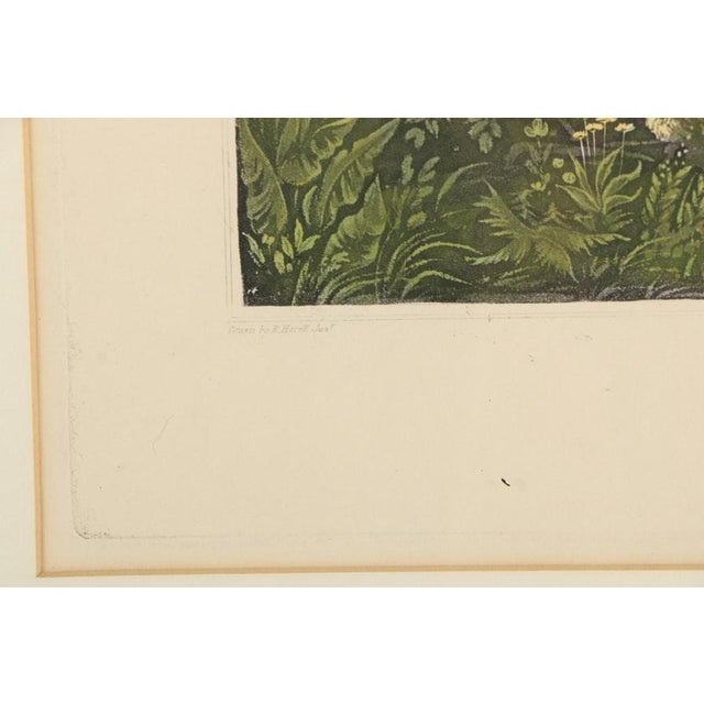 Late 19th Century Late 19th Century Hand-Colored Etching After John Havell Jr. "Pheasant Shooting" For Sale - Image 5 of 7