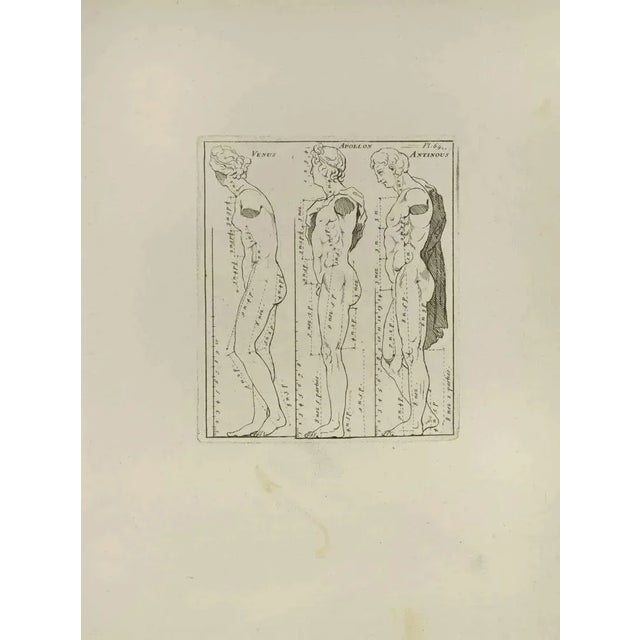 Anatomy Studies is an etching realized by Nicholas Cochin in 1755. Good conditions with foxing and folding. The artwork is...