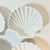 1980s Vintage Neoclassical Coastal Portuguese Ceramic Shell Plate/Bowls - Set of 4 For Sale - Image 6 of 10