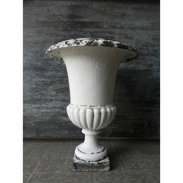Antique Model Medicis Cast Iron Vase, 1890s For Sale - Image 9 of 11