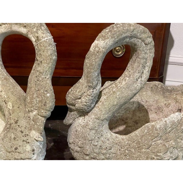 Mid 20th Century Pair of French Concrete Swan Planters For Sale - Image 5 of 8