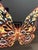 Cecilia Webber Monarch - Photo Collage For Sale - Image 4 of 4