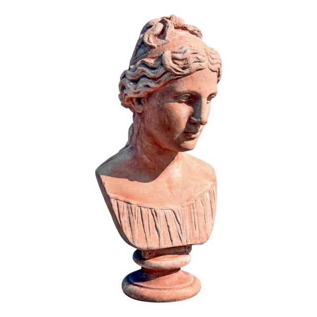 Neoclassical Style Head of a Woman, 20th Century, Terracotta For Sale