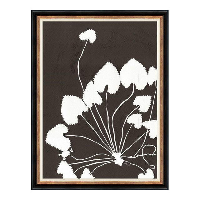 Ferox by Susan Hable For Sale