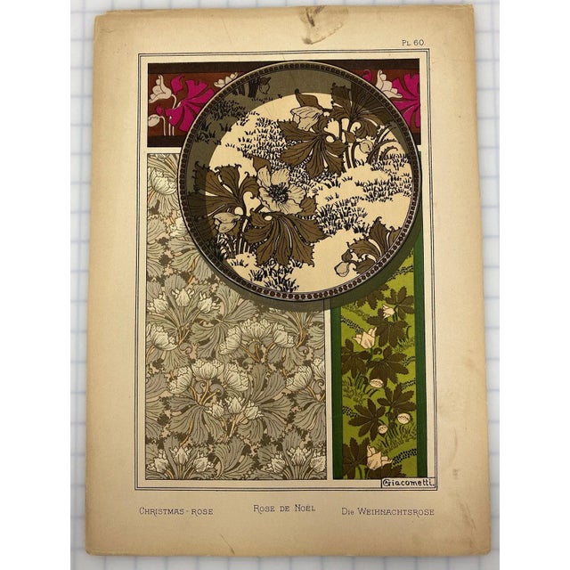 Christmas-Rose. Art Nouveau style pochoir illustrated by Augusto Giacometti from the 1896 publication, La Plante et Ses...