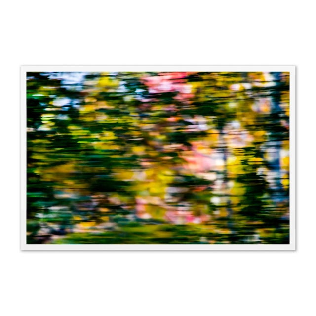 Geoffrey Baris Through the Trees by Geoffrey Baris, Art Print in White Frame, Medium For Sale - Image 4 of 4