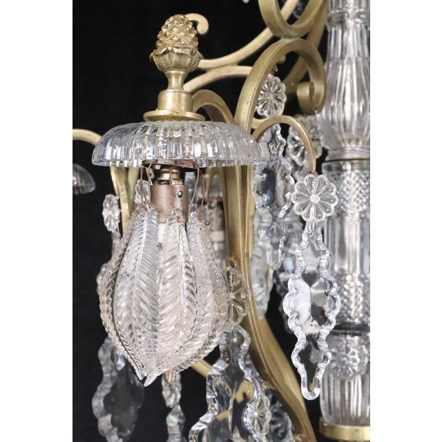 Early 20th Century Antique Louis XV Crystal & Brass Chandelier For Sale - Image 5 of 12
