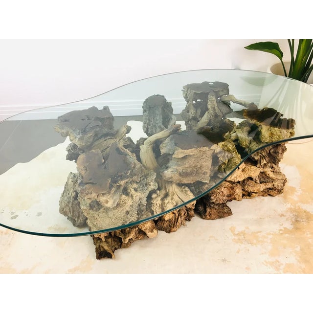 Vintage 1970s Burlwood Driftwood Sculptural Glass Top Coffee Table For Sale - Image 11 of 11