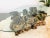 Vintage 1970s Burlwood Driftwood Sculptural Glass Top Coffee Table For Sale - Image 11 of 11