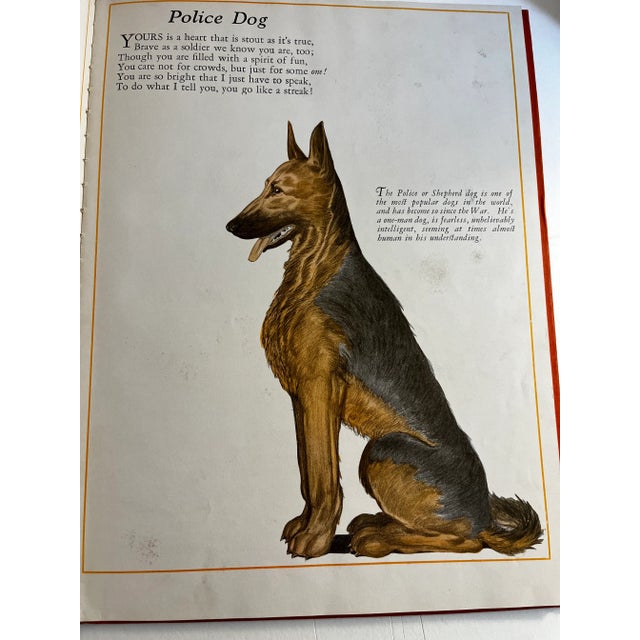1920s 1927 Dogs by Julius King Book For Sale - Image 5 of 13