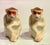 Ceramic Mid 20th Century Japanese Trompe-L’Oeil Japanese Porcelain Monkey Salt and Pepper Shakers - a Pair For Sale - Image 7 of 12