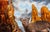 Early 21st Century Fossa by Robin Hextrum | Oil on canvas Oil painting of a fossa in a surreal landscape. For Sale - Image 5 of 5